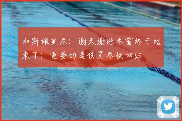 加斯佩里尼：谢天谢地冬窗终于结束了；重要的是伤员尽快回归