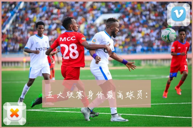 五大联赛身价最高球员：