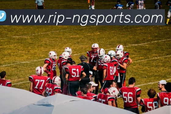 ng娱乐APPAPP 封面图